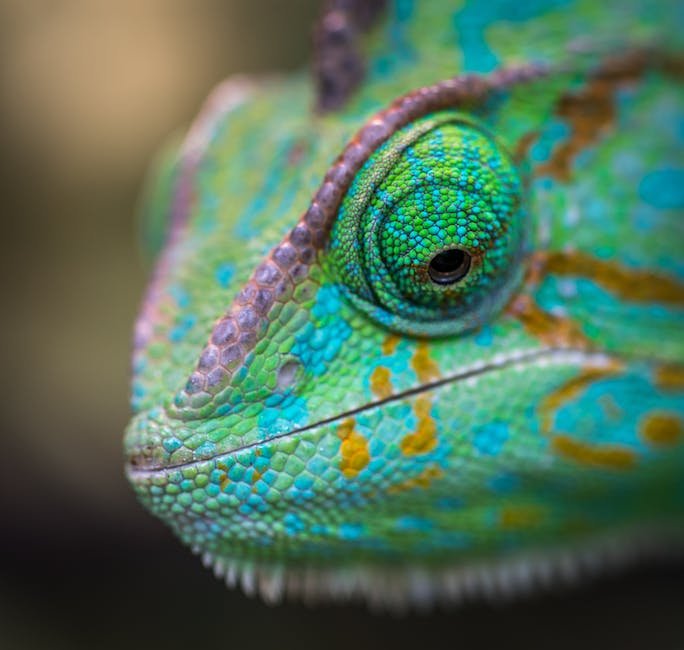 What is chameleon animal? - animala-z.com